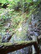 e0045108_1423824.jpg