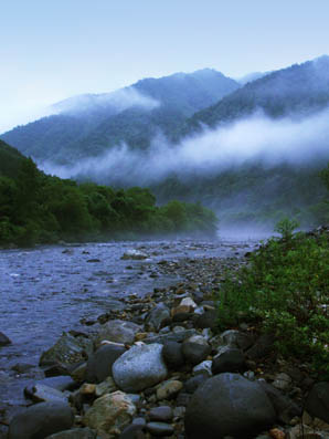 e0009009_05422.jpg
