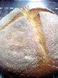e0025410_20434162.jpg