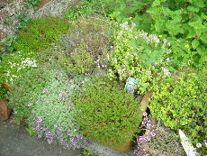 e0046112_1904483.jpg