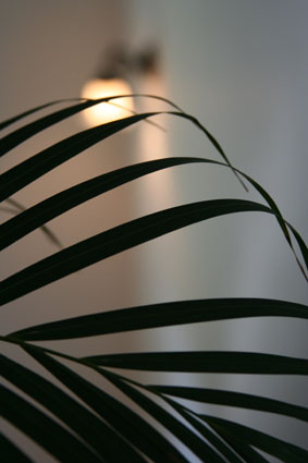 c0022918_23335335.jpg