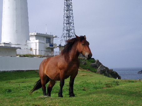 d0043828_1611426.jpg