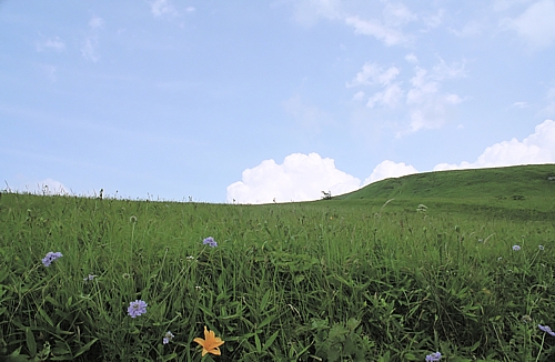 d0001533_2036301.jpg