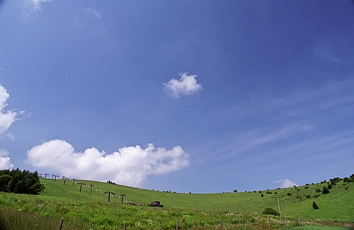 d0001533_2036640.jpg