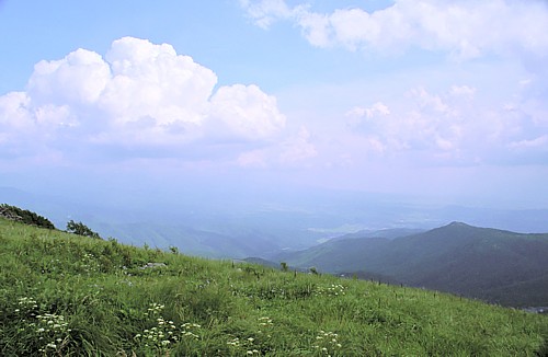d0001533_20371694.jpg
