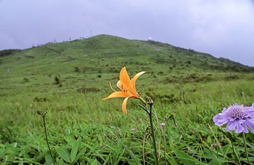 d0001533_20372868.jpg