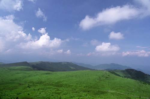 d0001533_2038433.jpg