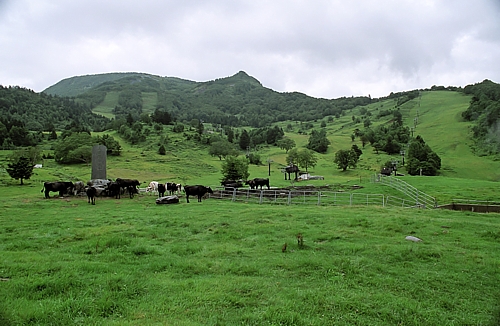 d0001533_2234635.jpg