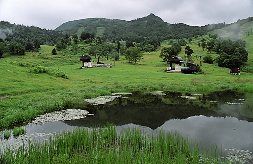 d0001533_22355813.jpg