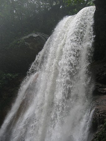 d0001533_22402792.jpg