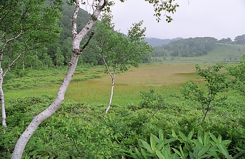 d0001533_2282537.jpg