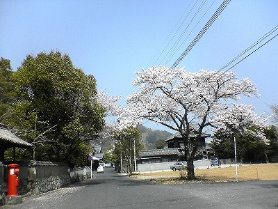 c0038334_231438.jpg