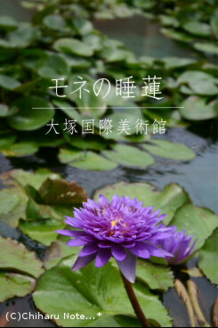 c0046340_10264338.jpg