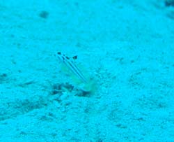 b0062363_19214470.jpg