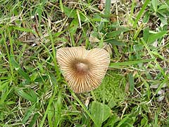 d0019169_2349261.jpg