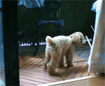 e0019696_235415.gif