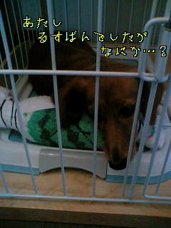 d0046905_1610336.jpg