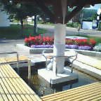 a0011808_23112486.jpg