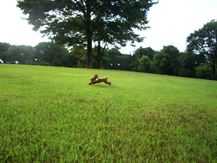 d0001509_20525091.jpg