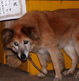 d0062009_735951.jpg