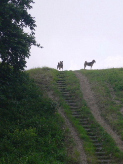 d0062009_7425915.jpg