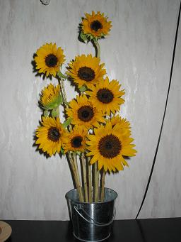 d0053710_13553253.jpg