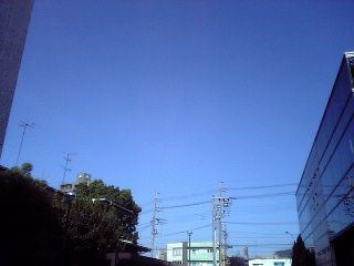 e0033613_2093362.jpg