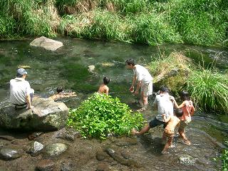 c0005619_053553.jpg