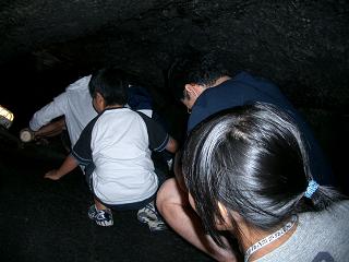 c0005619_233979.jpg