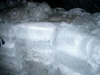 c0005619_2485.jpg