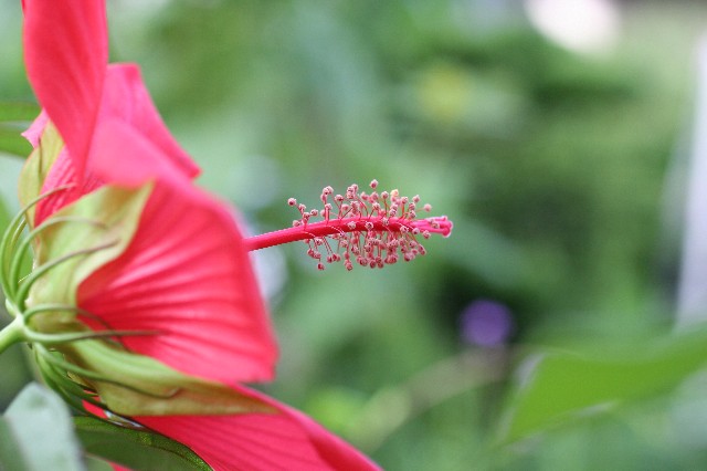 a0004023_7271464.jpg