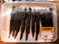 c0032530_12516.jpg