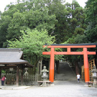 d0033734_17355517.jpg