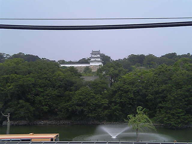 d0057441_141583.jpg