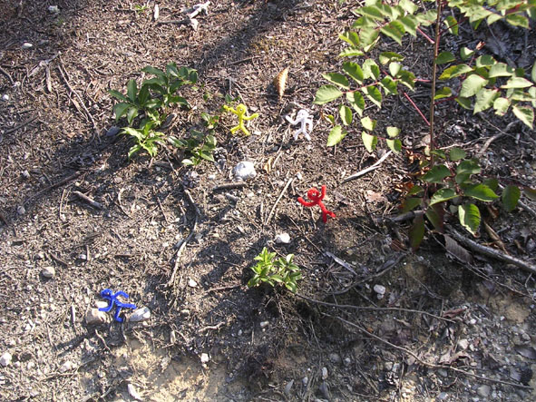 b0025066_2101261.jpg