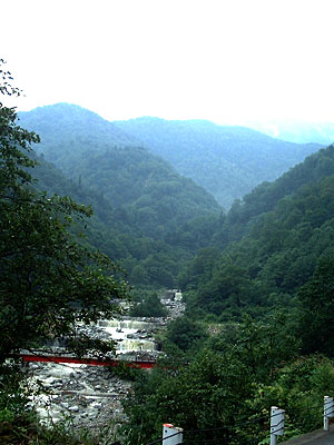 b0049180_208453.jpg