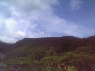 c0058187_2231419.jpg