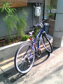d0001903_1621779.jpg
