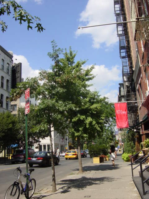 c0048504_13362944.jpg