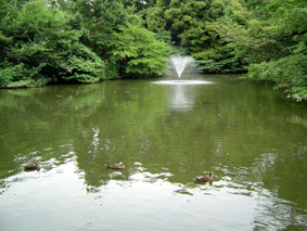 b0034912_1141474.jpg