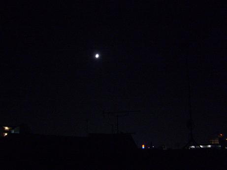 d0064424_723284.jpg