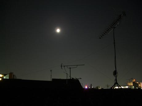 d0064424_744956.jpg
