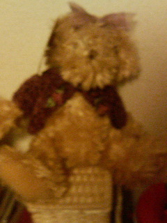 a0036330_21484585.jpg