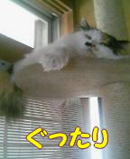 c0025852_1554790.jpg