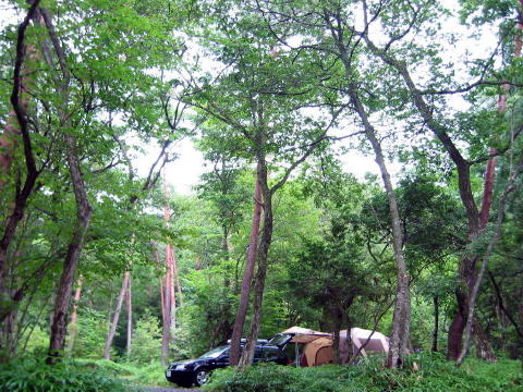 a0002763_2582323.jpg