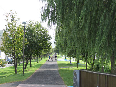 a0013068_12255474.jpg