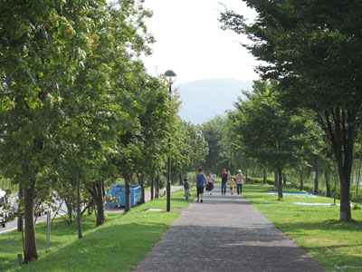 a0013068_1226509.jpg