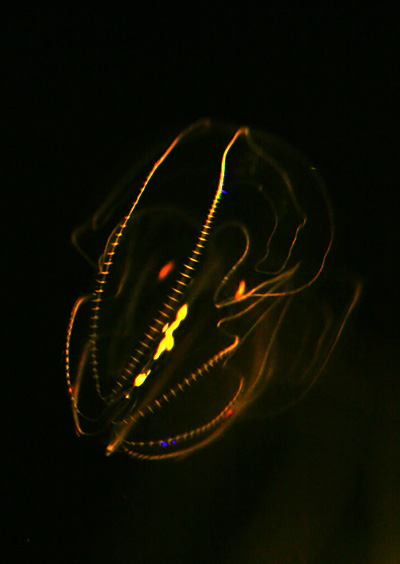 b0067789_21503872.jpg