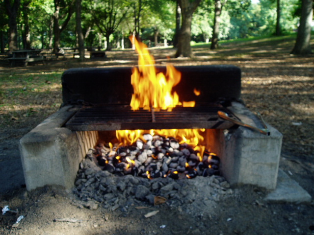 c0037103_13444275.jpg