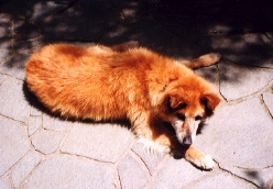 d0062009_7193864.jpg
